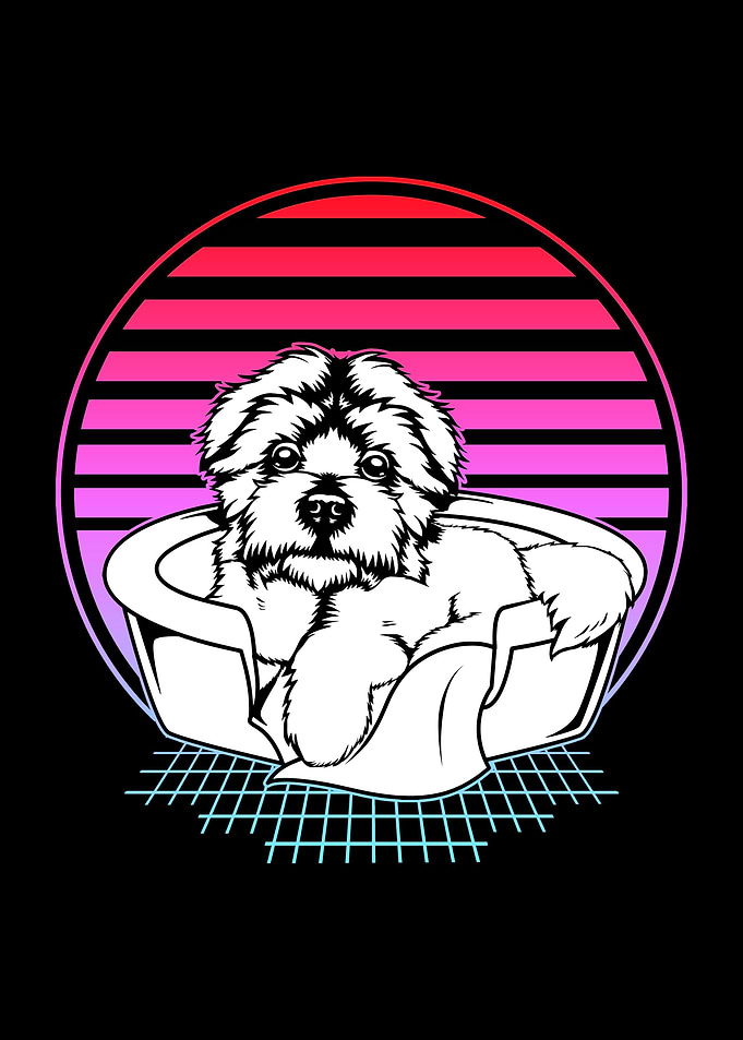 Maltese Retro