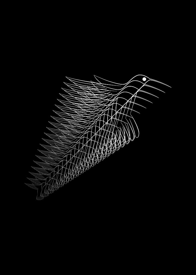 Animale 08