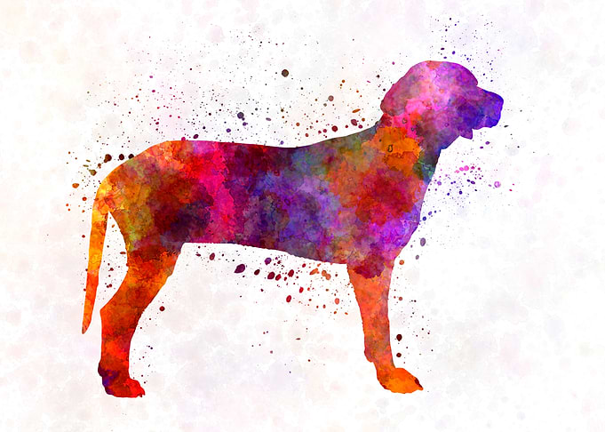 Serbian Hound