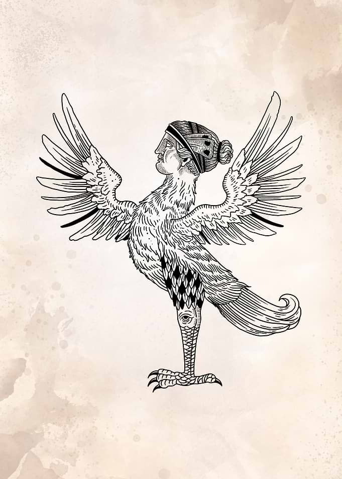 beautiful bird