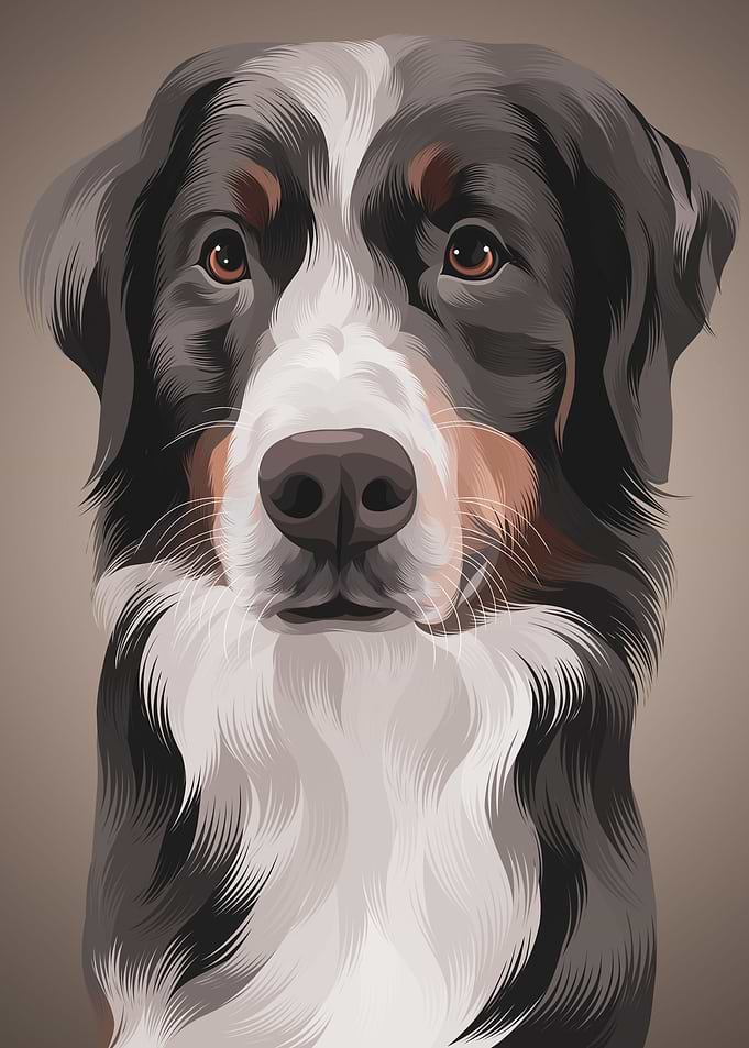 Dog22