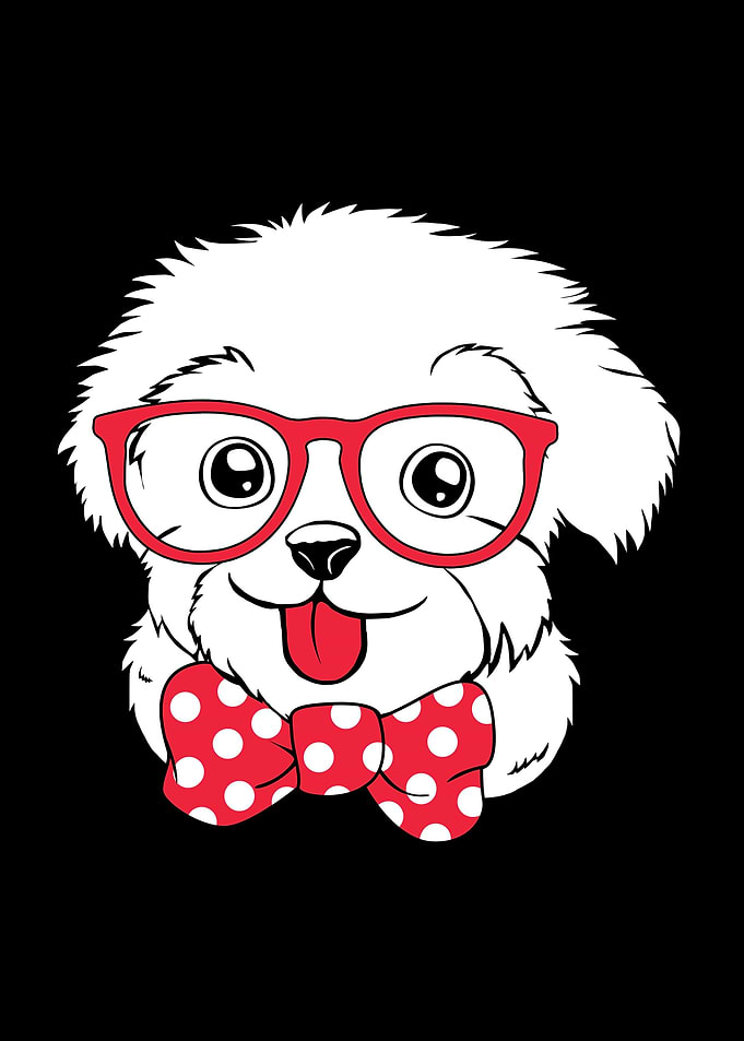 Maltese Cute