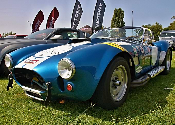 Vintage Cobra Roadster