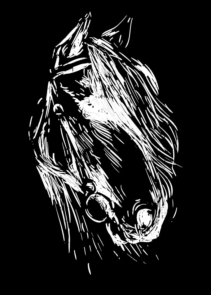 Equestrian Horse Head