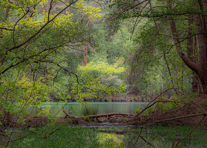 A blue lake