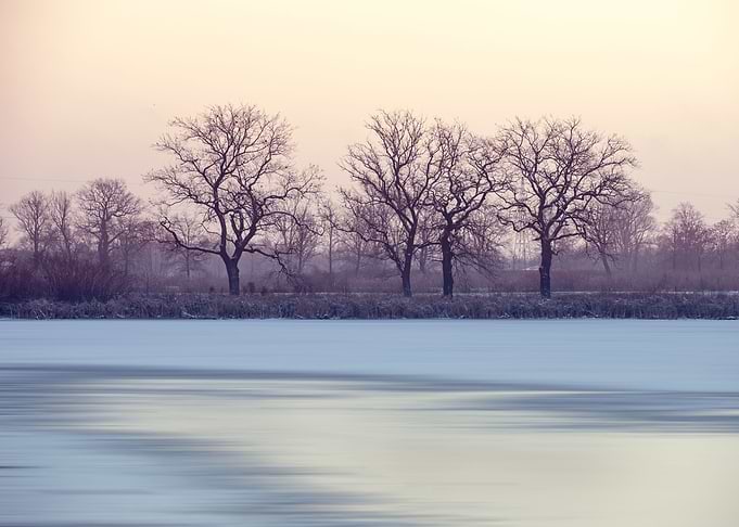 Winter sunrise,lake,trees