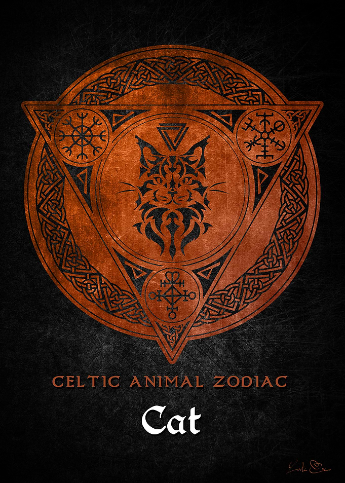Viking cat zodiac sign
