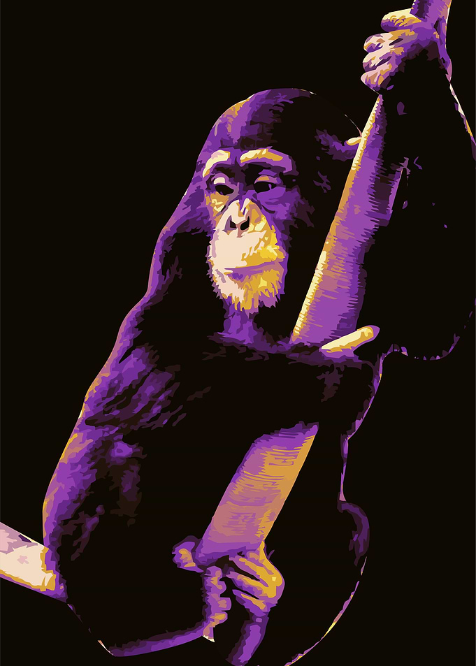Monkey1