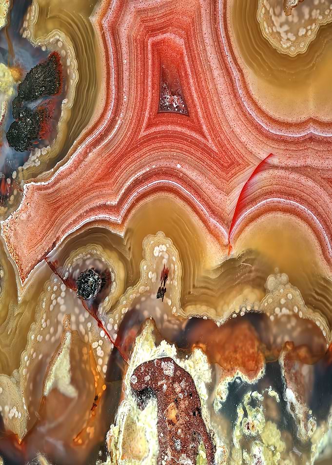 Agate Slice Texture 19