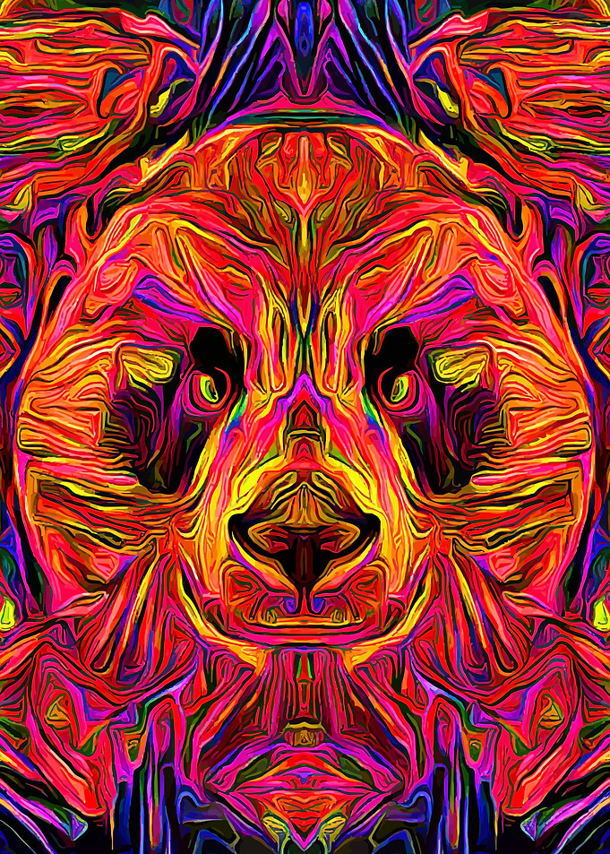 Panda Colorful Portrait