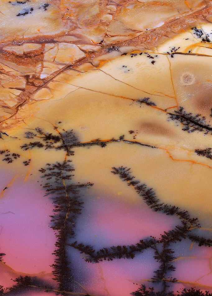 Agate Slice Texture 18