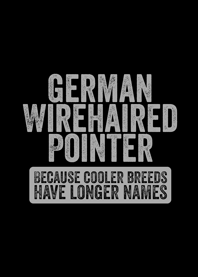 German Wirehaired Pointer