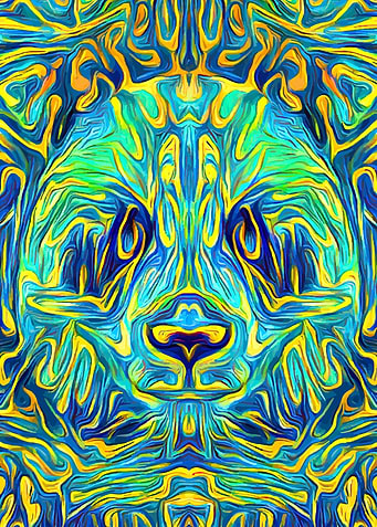 Panda Bear Acid Night