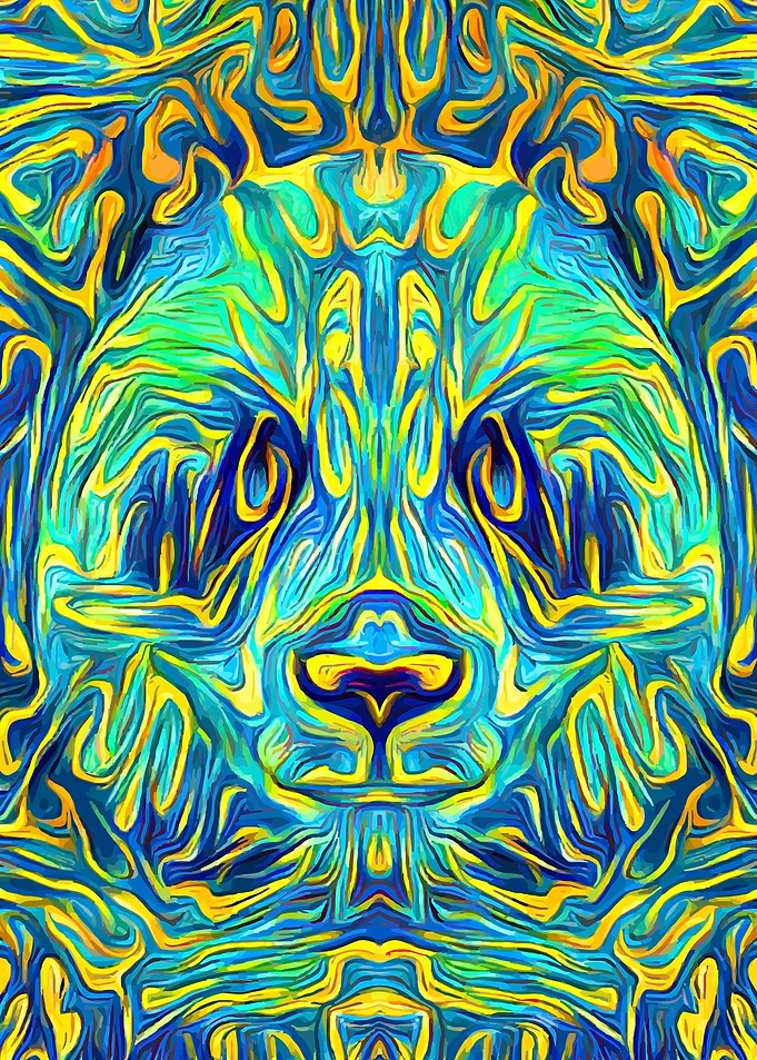 Panda Bear Acid Night