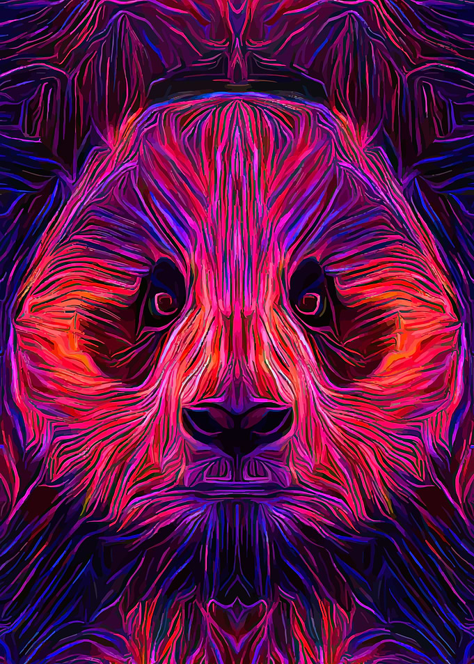 Panda Fantastic Portrait