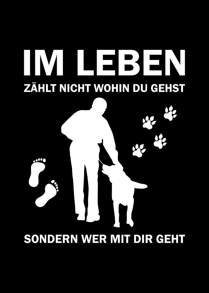German Dog