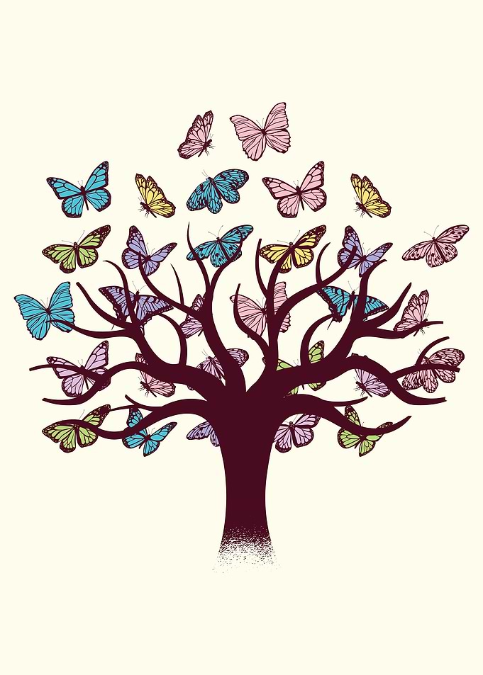 Butterfly Tree Nature