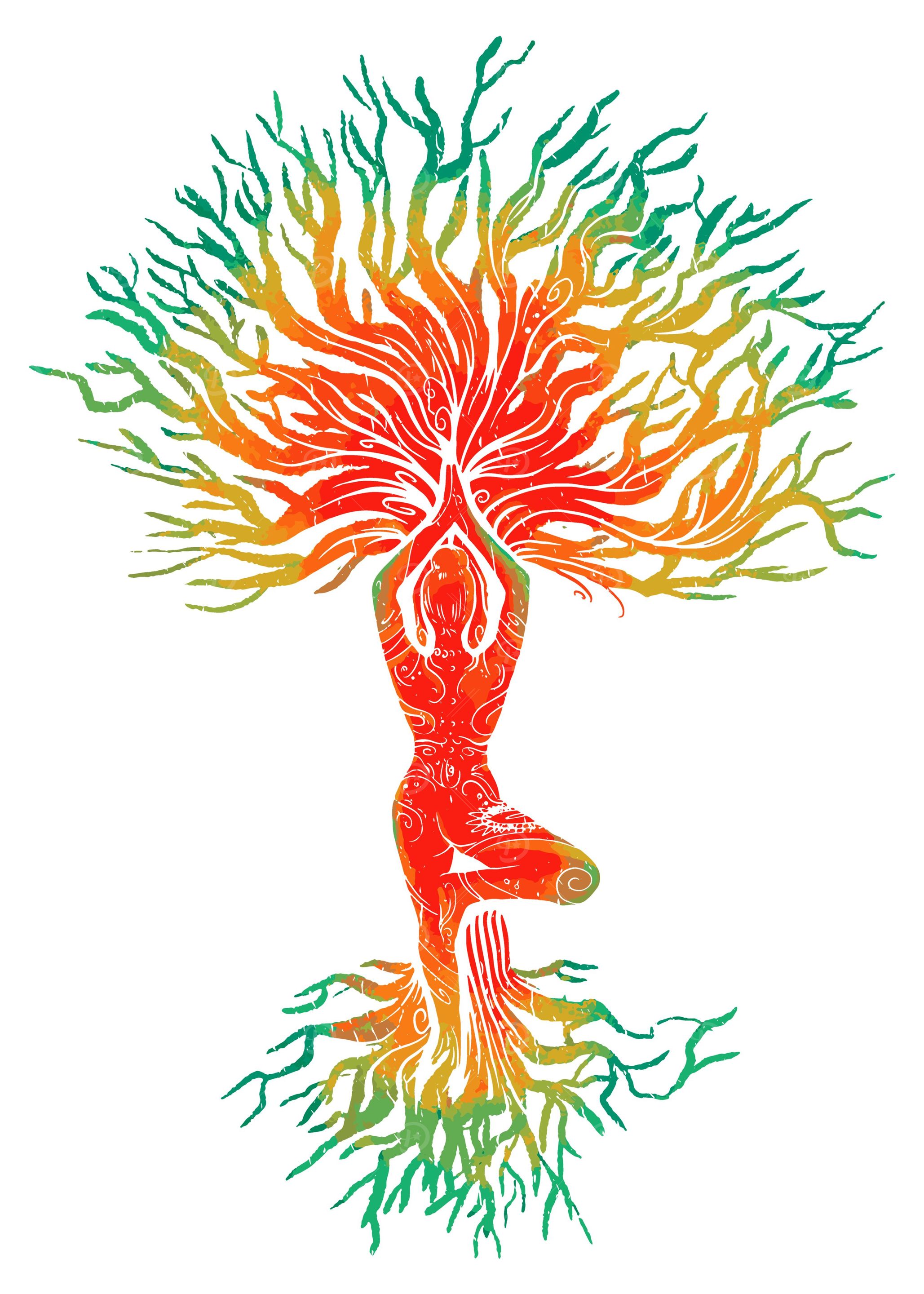 Yoga Woman Tree Nature