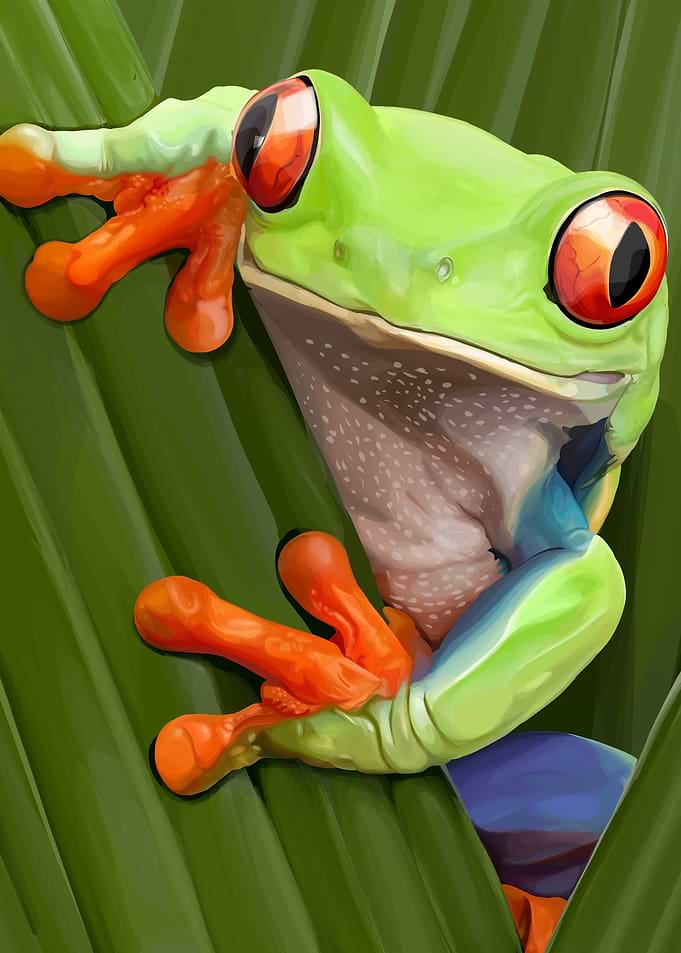 green frog