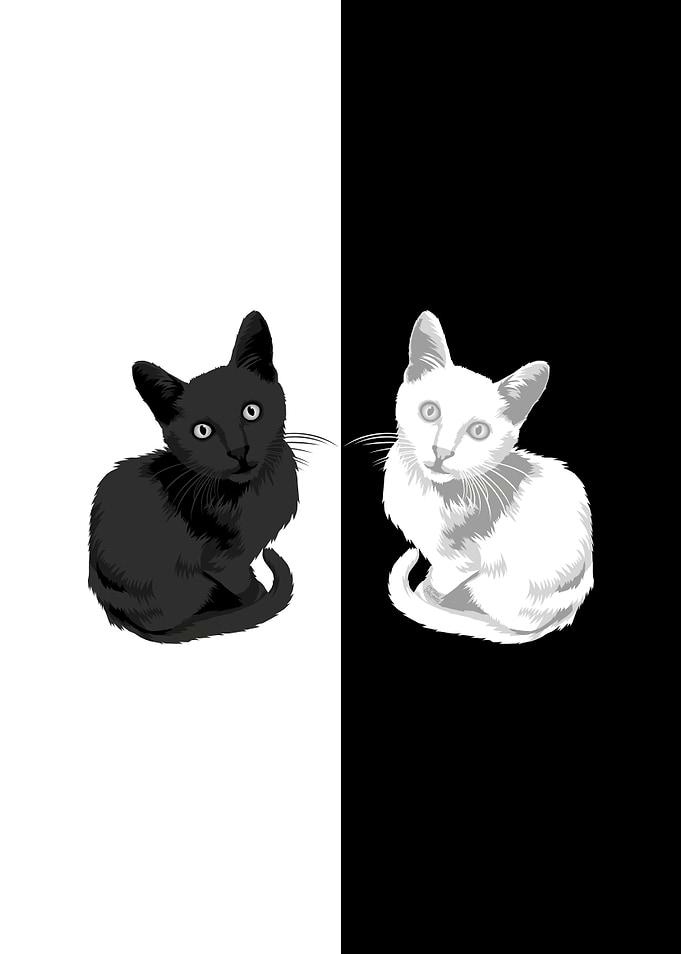 Yin Yang Cats