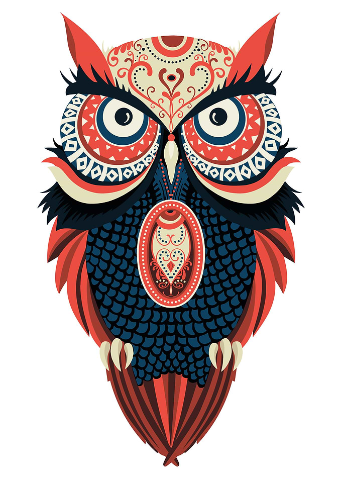 Owl Bird colorful