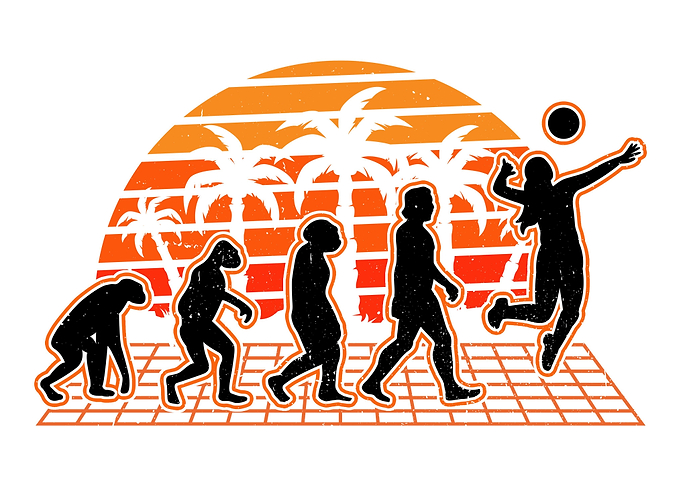 Volleyball Evolution Sunse