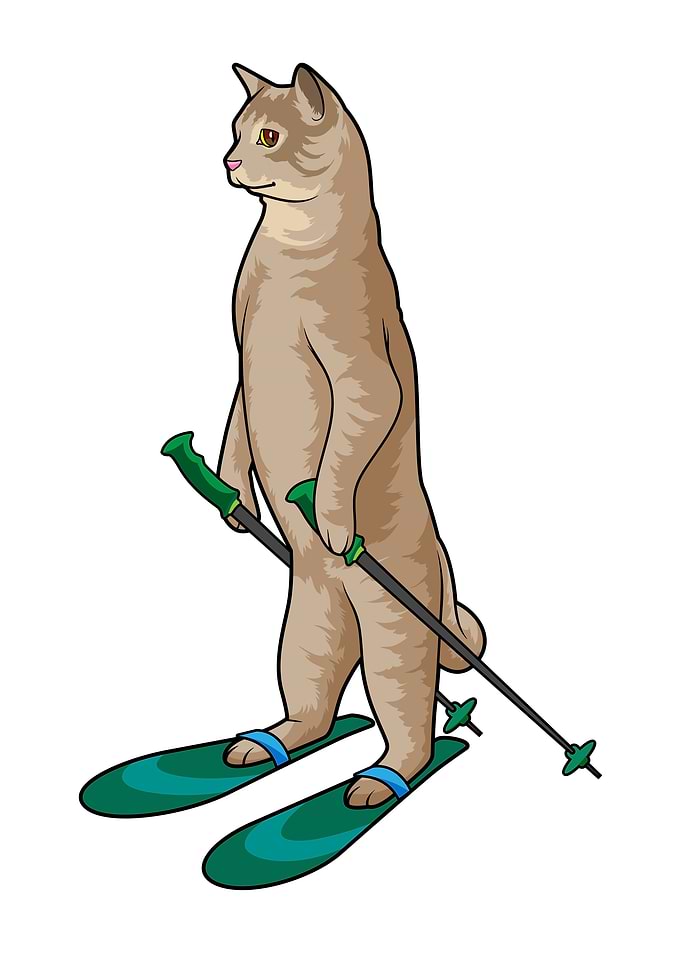 Cat Skier Ski Sports