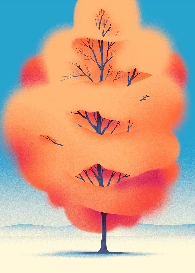 Orange tree