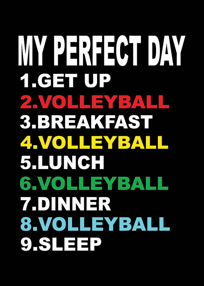 My Perfect Day Volleyball