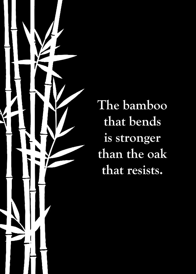 Japanese Proverb