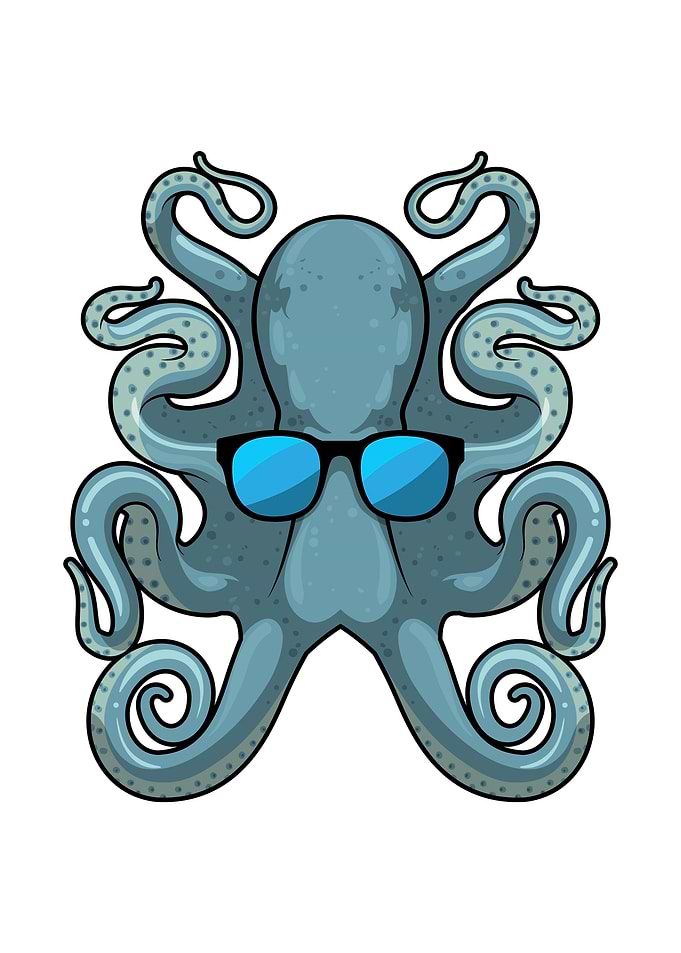 Octopus Sunglasses