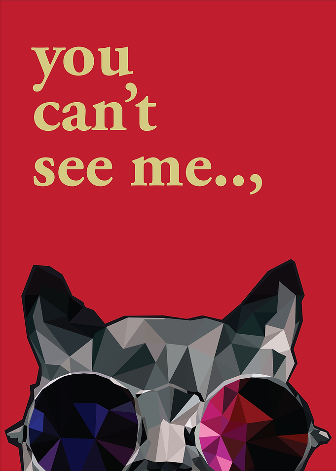 you cant see mee