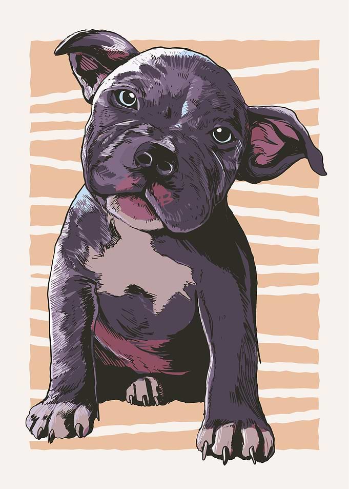 Cute Puppy Dog