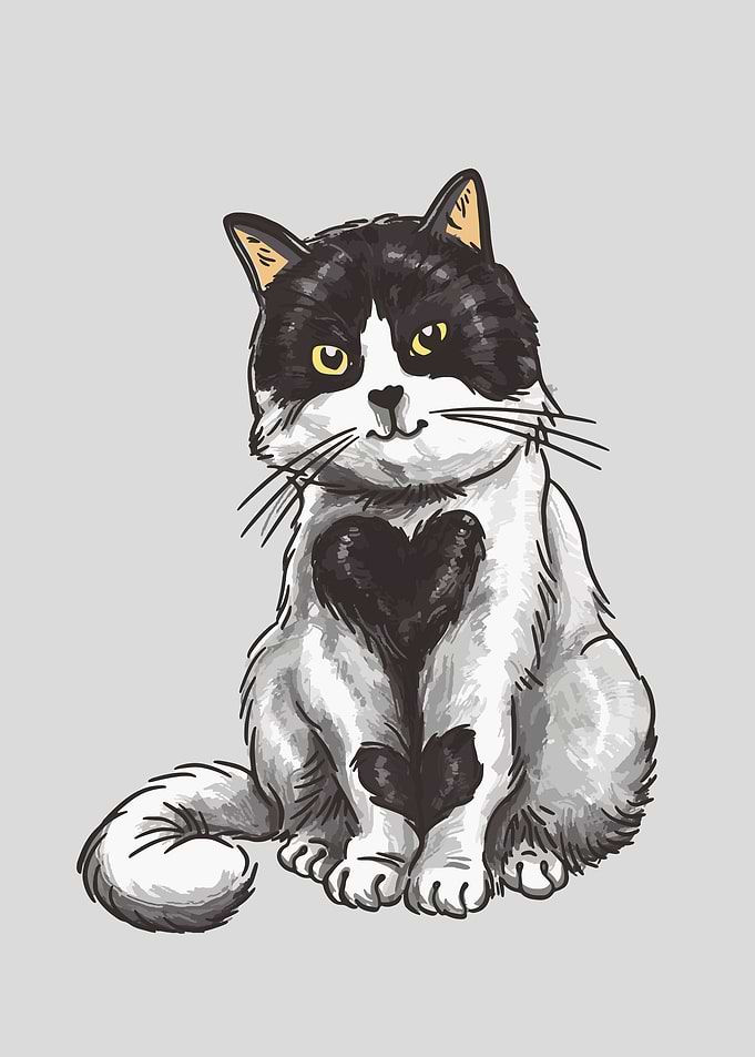 lovely heart cat