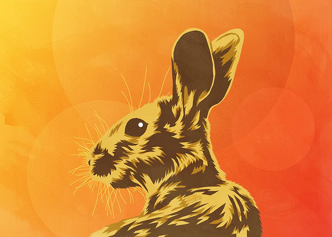 Hare portrait