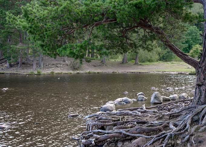 Loch Eilein
