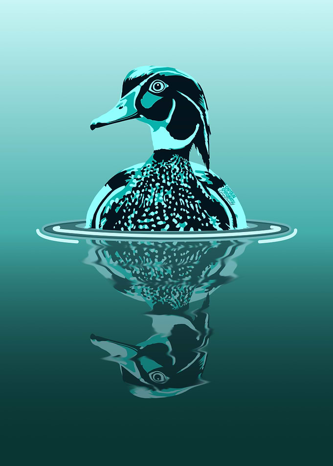 Duck reflection
