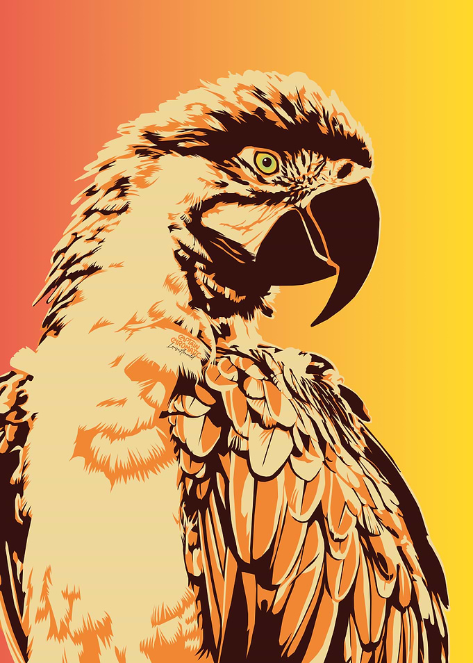 Ara parrot portrait