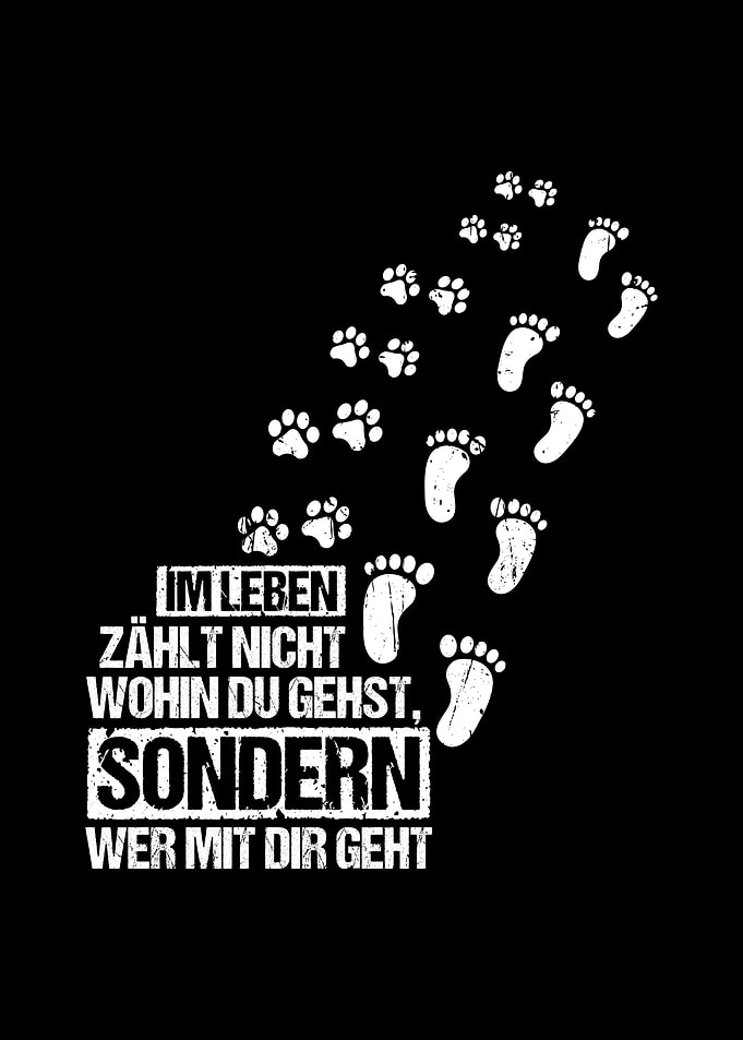 German Dog