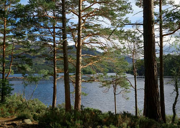 Scotland