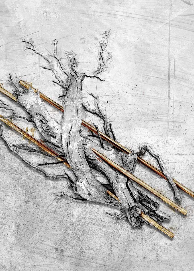 White wood