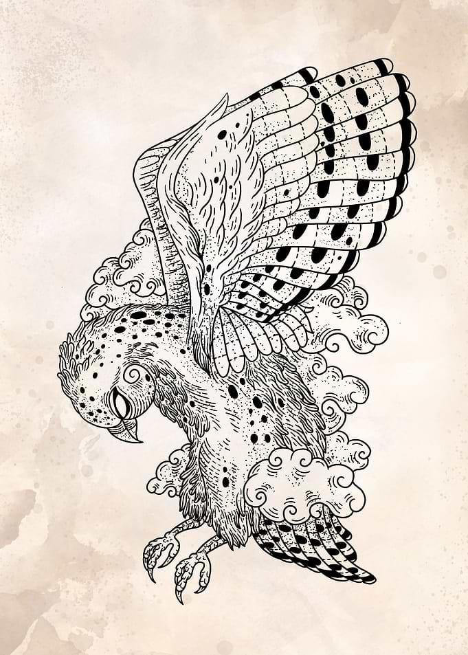 owl