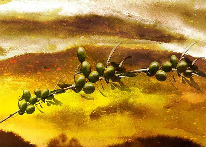 Olives