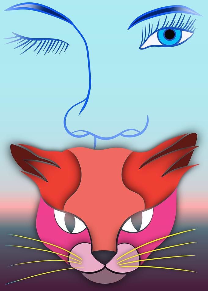 Catscape