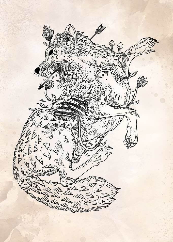 wolf