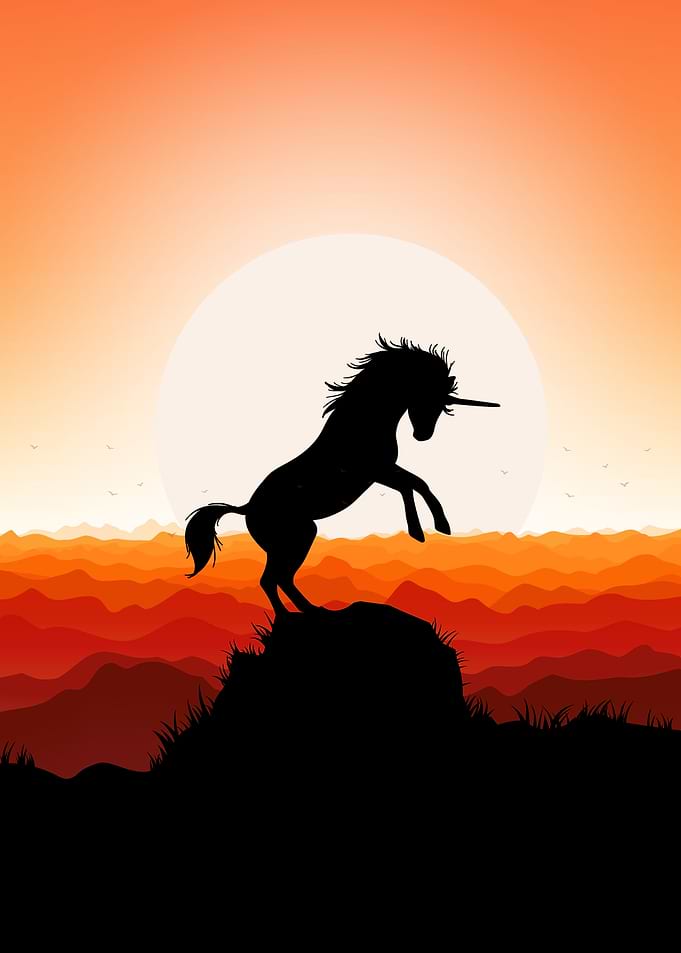 Horse Unicorn cute animal