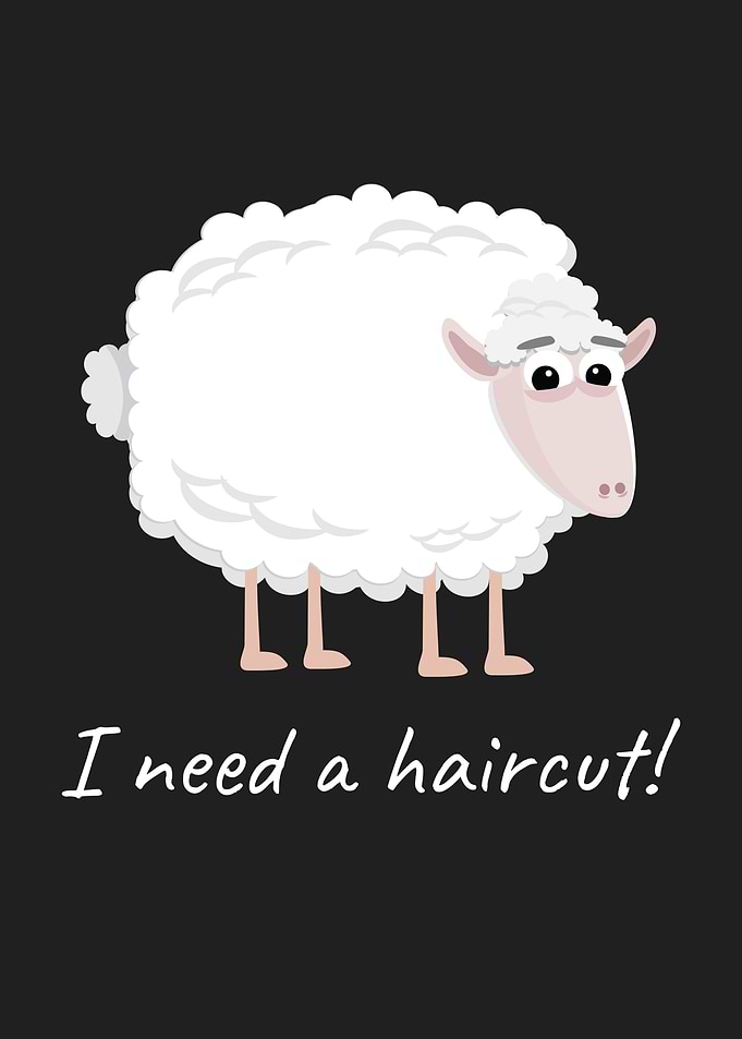 I Need a Haircut Sheep