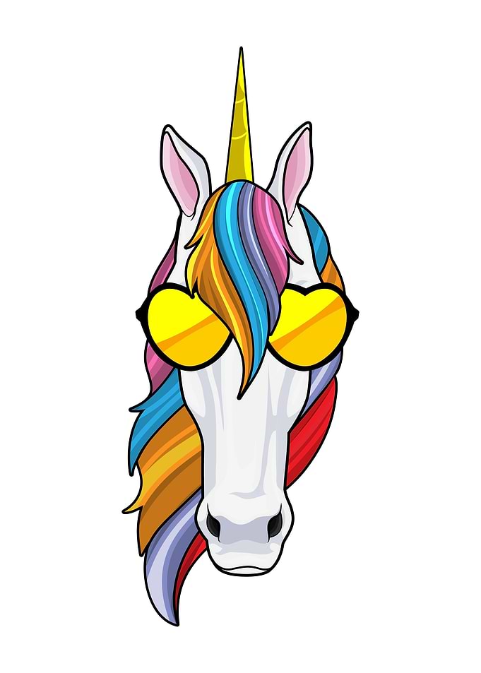 Unicorn Sunglasses