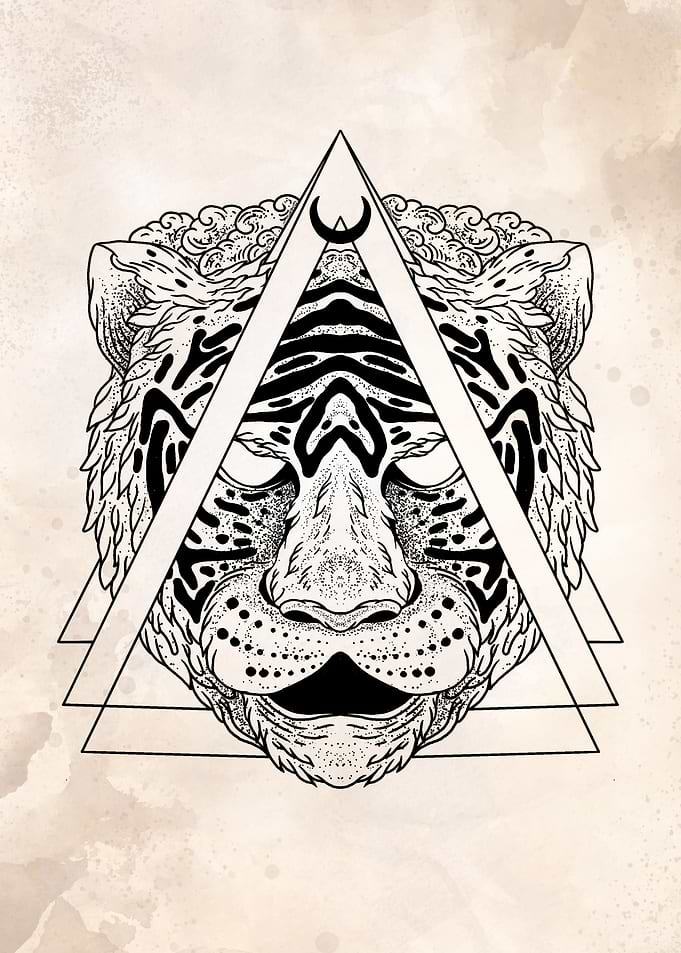tiger head