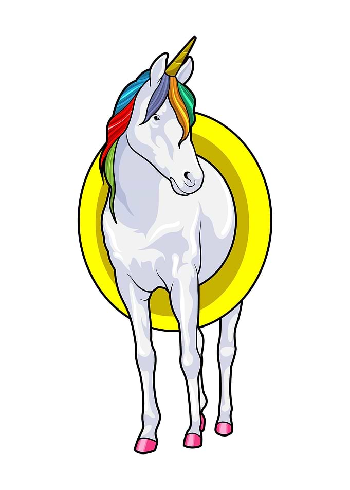 Unicorn Swimming Swim ring
